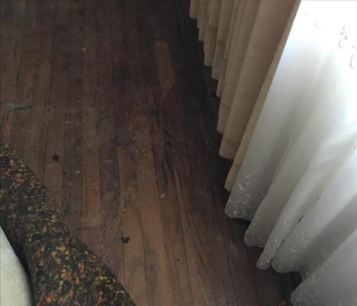 water damaged hardwood floor