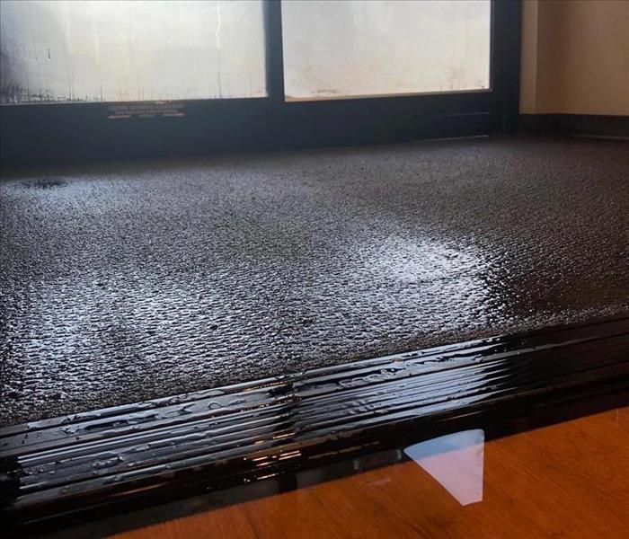 Wet carpet 
