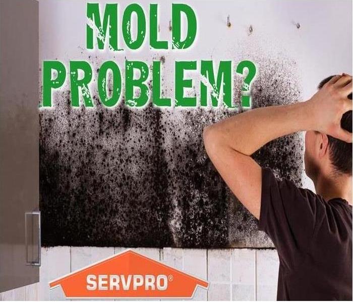 Servpro logo with Mold on wall 