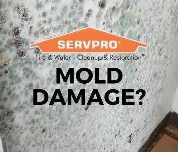 Mold with Servpro logo